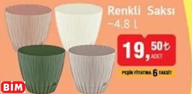 RENKLİ  SAKSI ~4.8 L